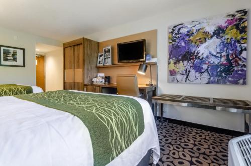 ローリーにあるComfort Inn Raleigh Midtownのベッドとデスクが備わるホテルルームです。