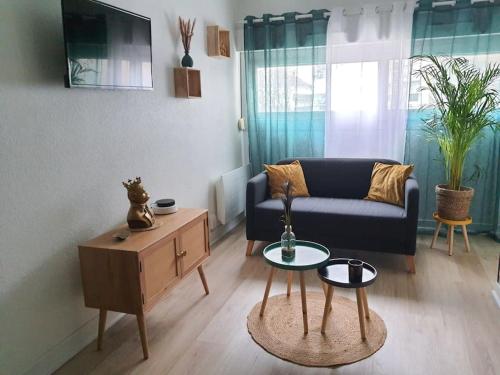 un salon avec un canapé et une table basse dans l'établissement Le Ouistiti - 50 m de la Gare - Parking Privé, à Tours