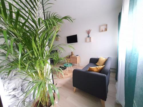 un salon avec un canapé et des plantes en pot dans l'établissement Le Ouistiti - 50 m de la Gare - Parking Privé, à Tours