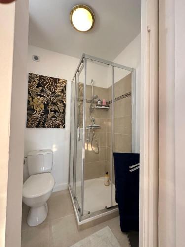 une salle de bain avec toilettes et douche dans l'établissement Cannes Carnot 1, à Cannes