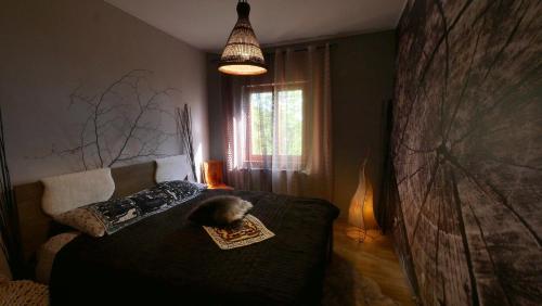 a cat sleeping on a bed in a bedroom at Le Case Nel Bosco Terminillo in Terminillo