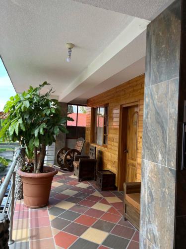 a porch with a potted plant on a balcony at Hostal Alpachaca - New Quito Airport in Tababela