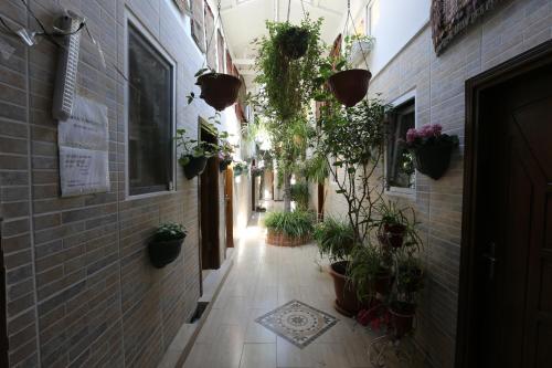 an alley with potted plants on the walls at Private Room in Istanbul #53 in Istanbul