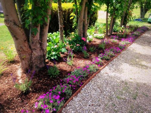 a garden with purple flowers next to a tree at Villa Giuliana in Arezzo