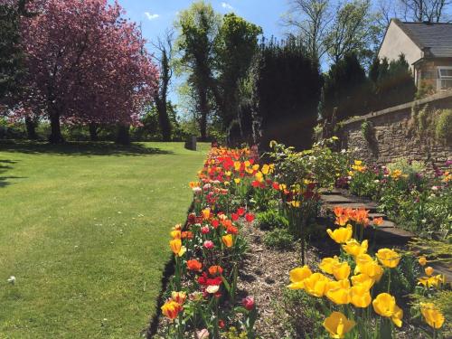 a row of colorful flowers in a garden at Hedgefield House in Gateshead