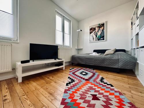1 dormitorio con 1 cama y TV de pantalla plana en Zentrum: Prater, Messe, WU, en Viena