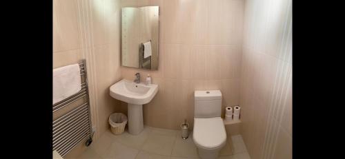 Baño pequeño con aseo y lavamanos en Donard View Penthouse en Newcastle