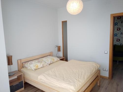 1 dormitorio con 1 cama y 1 lámpara en Біля Озера en Ivano-Frankivsk
