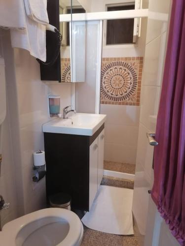 y baño con aseo, lavabo y ducha. en Private Room in Istanbul #57 en Estambul