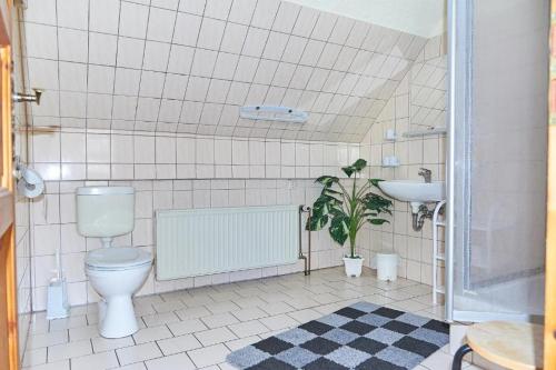 a bathroom with a toilet and a sink at Schwalbenhof Wöllnau in Doberschütz