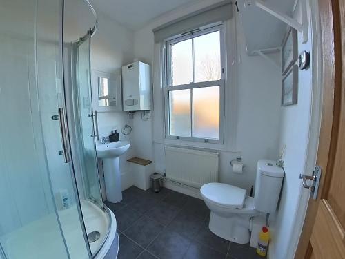 a bathroom with a toilet and a sink and a shower at The Ingleside Apartment in Basingstoke