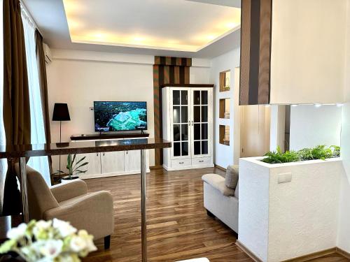 Μια τηλεόραση ή/και κέντρο ψυχαγωγίας στο Lux apartments in the city center with a coffee machine, view of a theater, near Zlata Plaza
