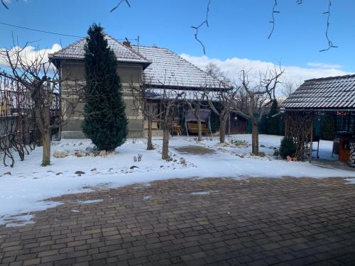a house with snow on the ground in the yard at CASA LUI MOȘU in Alba Iulia