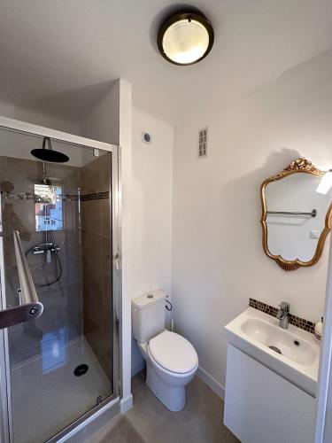 une salle de bain avec toilettes, douche et lavabo dans l'établissement Cannes Carnot 2, à Cannes