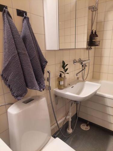 a bathroom with a toilet and a sink at Ihastuttava kaksio Pieksämäen keskustasta in Pieksamaki