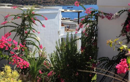 Gallery image of Aktur Residence in Bitez