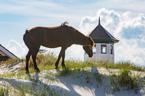 Skyview By The Sea – Photos 4