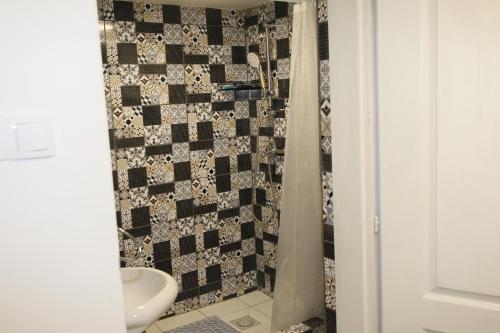 a bathroom with a shower with a toilet and a sink at VILA VASILIJE in Novi Kneževac
