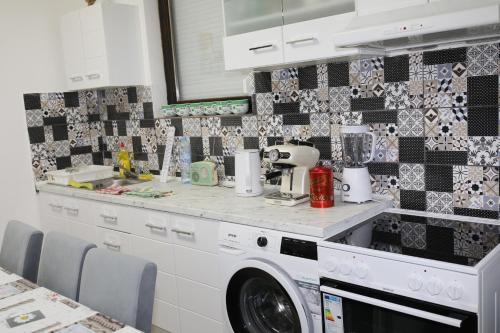 a kitchen with a washing machine in a kitchen at VILA VASILIJE in Novi Kneževac