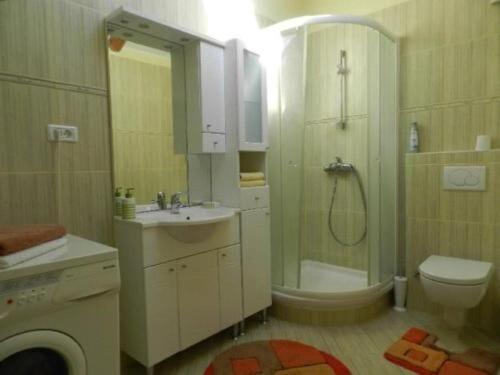 Koupelna v ubytování Apartments Radomir
