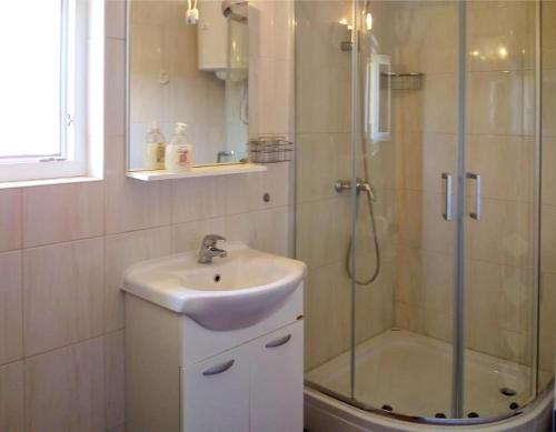 a bathroom with a shower and a sink and a shower at Apartment Branko in Sutomišćica