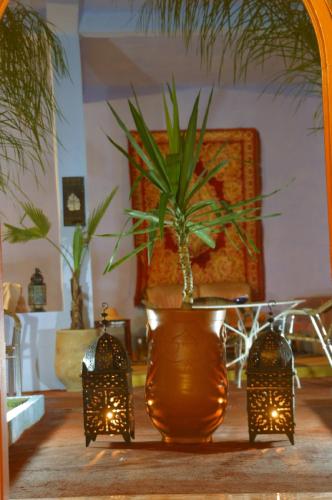 a large vase with a plant in a room at Dar Omar Khayam in Tangier