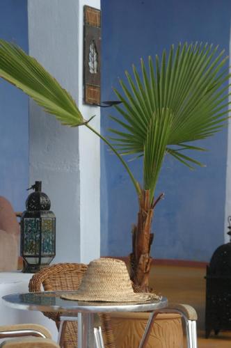 a hat sitting on a table with a palm plant at Dar Omar Khayam in Tangier
