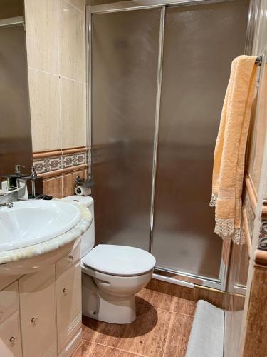 a bathroom with a shower and a toilet and a sink at EL COTARRO DE PESQUERA in Pesquera de Duero