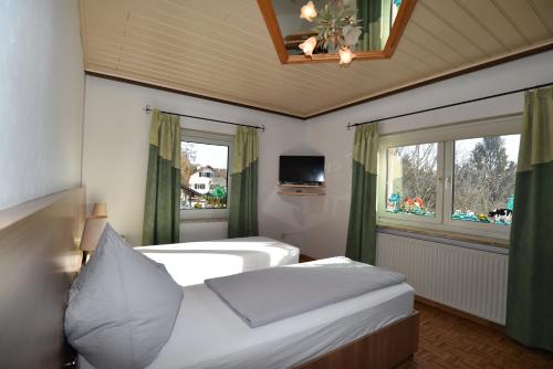格拉茲的住宿－PM-APART Ries Rosina，一间卧室设有两张床、一台电视和两个窗户。