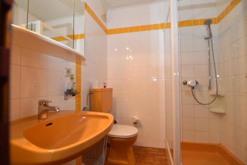 Un baño de PM-APART Ries Rosina