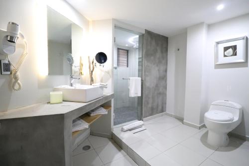 een badkamer met een wastafel en een toilet bij Hotel Posada Tulancingo in Tulancingo