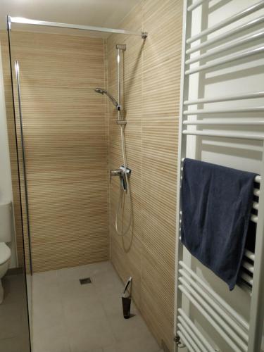 a bathroom with a shower with a blue towel at charmante maison au calme avec jardin, terrasse et jacuzzi in Barjouville