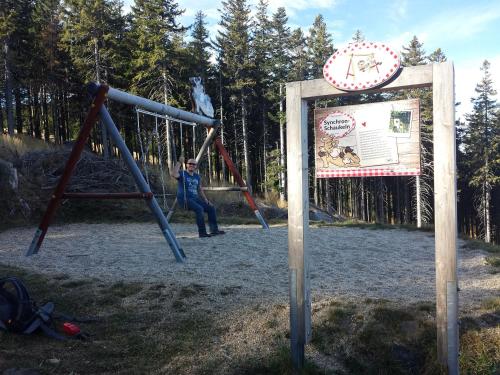 a girl is on a swing in a playground at Wald-Panorama-Zimmer in Mönichkirchen