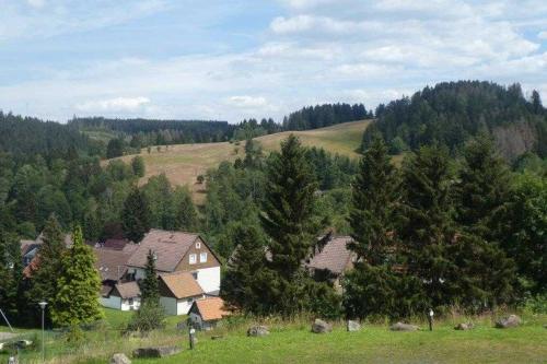 un groupe de maisons sur une colline plantée d'arbres dans l'établissement MountainLodge, à Altenau