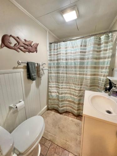 a bathroom with a toilet and a sink and a shower at MARY'S LAKEVIEW - LIMIT 10 home in North Sebago