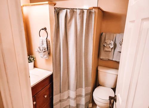 a bathroom with a shower curtain and a toilet at Pet Friendly 2 King Beds AF Academy Sleeps 12 in Colorado Springs