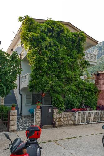 Apartments with a parking space Podaca, Makarska - 10439