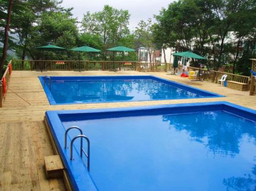 ein großer blauer Pool mit Tischen und grünen Sonnenschirmen in der Unterkunft Hyundai Soo Resort Hoengseong in Pyeongchang