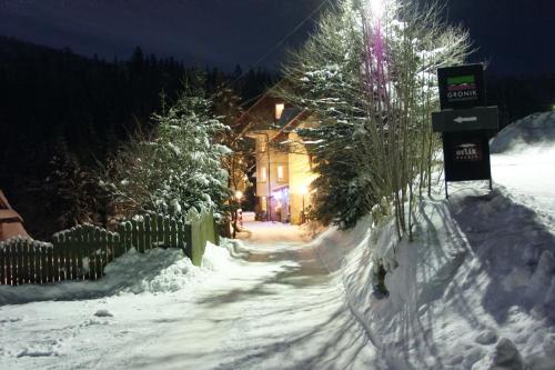 Gronik durante el invierno