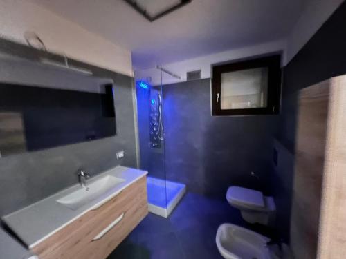 a bathroom with a sink and a toilet and a shower at Elegante e moderno monolocale in Oga