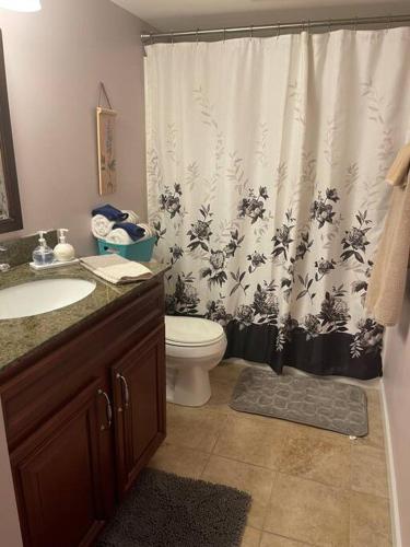 a bathroom with a toilet and a shower curtain at Fenton Oasis in Fenton