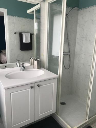 a bathroom with a white sink and a shower at Jolie Chambre proche Centre Ville de Rennes in Rennes