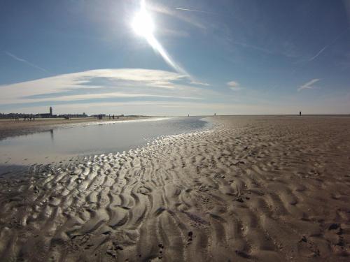 a beach with the sun shining on the sand at Bed and Breakfast Kik en Bun in Katwijk aan Zee