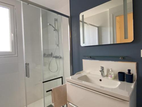 un bagno con lavandino e doccia di Charmante maison avec jardin en face du parc, proche commerces et attractions touristiques - FR-1-489-333 a Moulins
