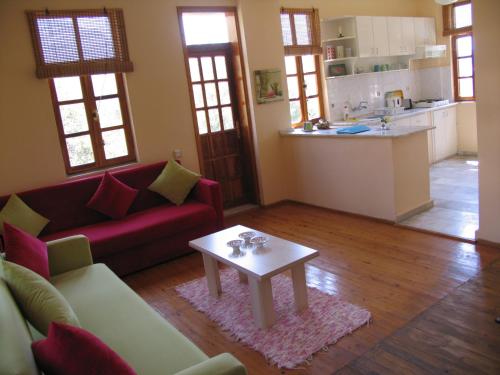 A seating area at Pasha Apart Hotel
