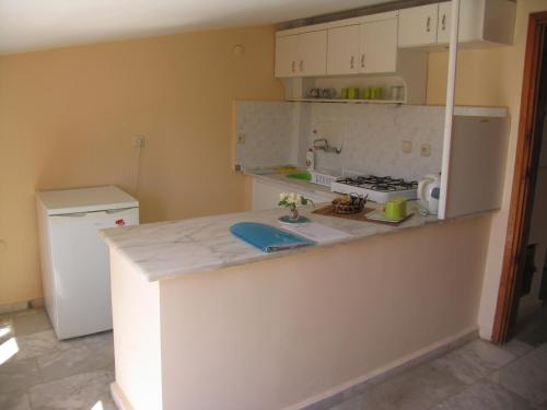 Kuchyň nebo kuchyňský kout v ubytování Pasha Suites