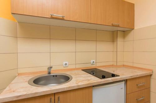 - une cuisine avec un évier et un comptoir dans l'établissement Apartments Mir i dobro, à Kotor