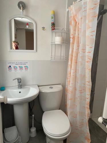 a small bathroom with a toilet and a sink at Apart Pasanauri - Aпартамент Пасанаури рядом с Гарден отель in Passanauri