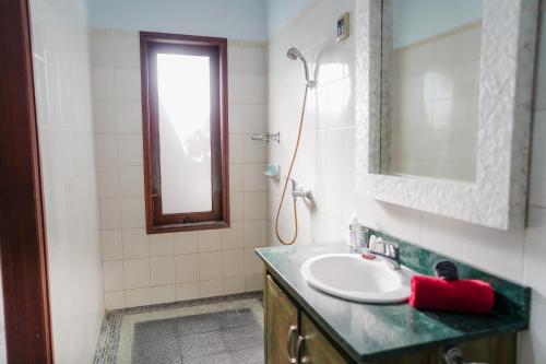 a bathroom with a sink and a mirror at Villa Bumi Ayu Sanur in Sanur
