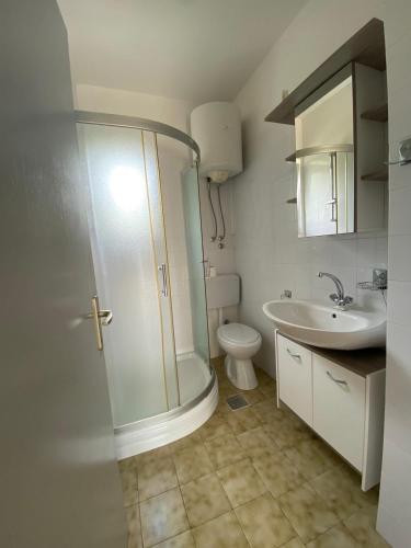 a bathroom with a shower and a toilet and a sink at Apartment Vito in Povile